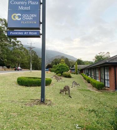 Golden Chain Country Plaza Motel Halls Gap