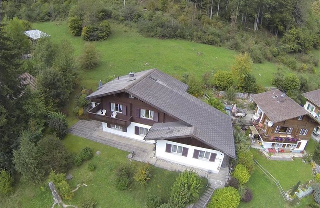 Goldrose by Interhome