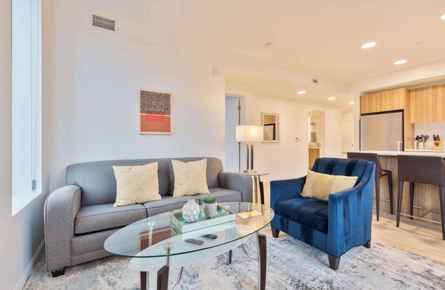 Gorgeous Apt with Kitchen and Gym