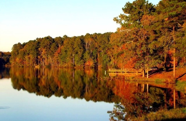 Gorgeous Chippewa Forest and Little Sand Lake @ backyard of this beautiful Cabin