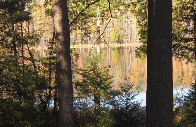 Gorgeous getaway in the Northwoods, 3 miles from snowmobile /ATV trails