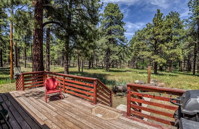 Gorgeous & Historic 3 BR Log Cabin w/Forest Views /20 Minutes from Flagstaff/