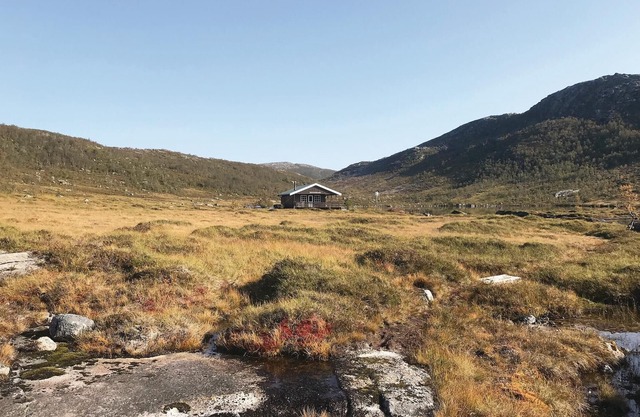 Gorgeous home in Hol i Tjeldsund