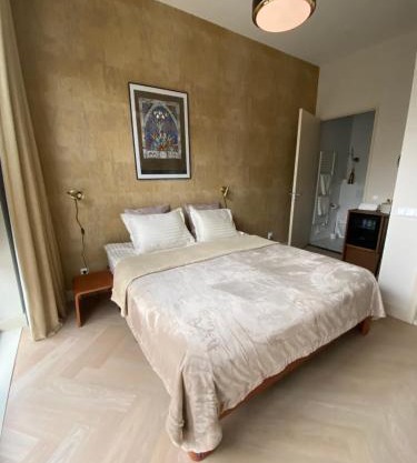 Gorgeous room near Haarlem Station, city center