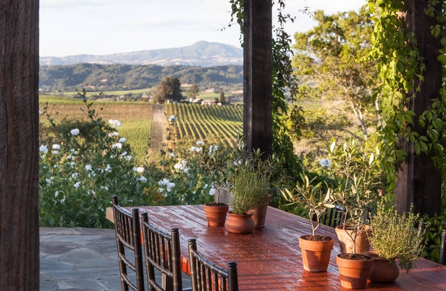 Gorgeous Views, Pool and Hot Tub, 12 mins to HB Plaza
