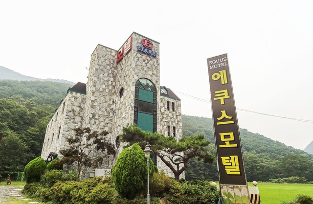Goseong Equus