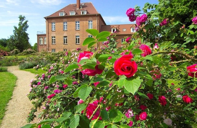 Gottin Manor House - for up to 25 people