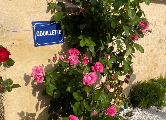 Gouillette