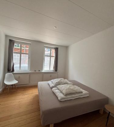 Grøn Odense Central