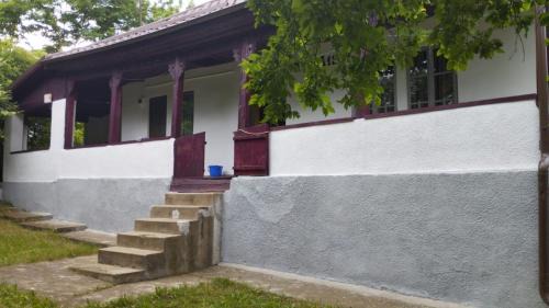 Grădina Familia AMURTEL