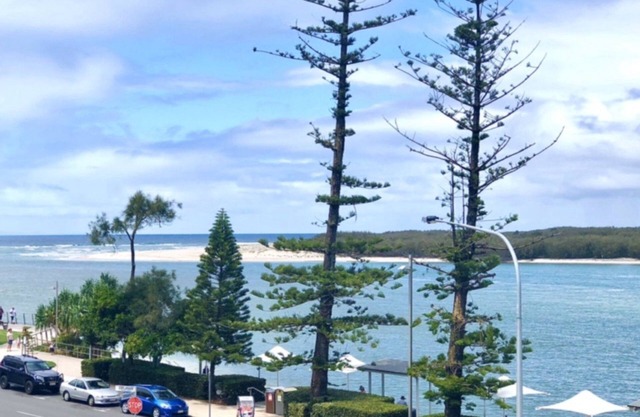 GRAND PACIFIC UNIT 55
