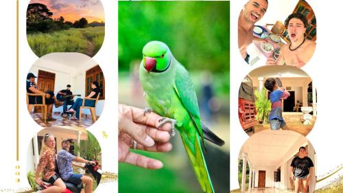Grand Refuge Bird view Lake jogging Foods Bikes Tuk tuk & wilpattu safaries