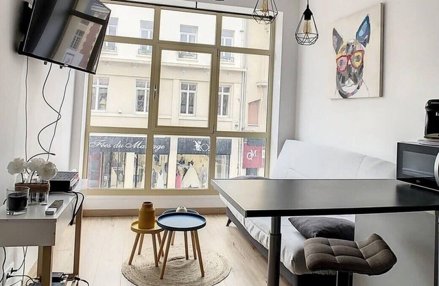 Grand Studio cosy spacieux centre-ville 4pers