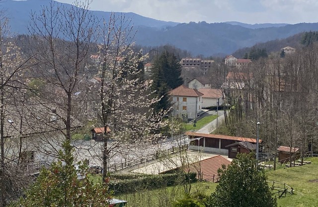 Grandma's House