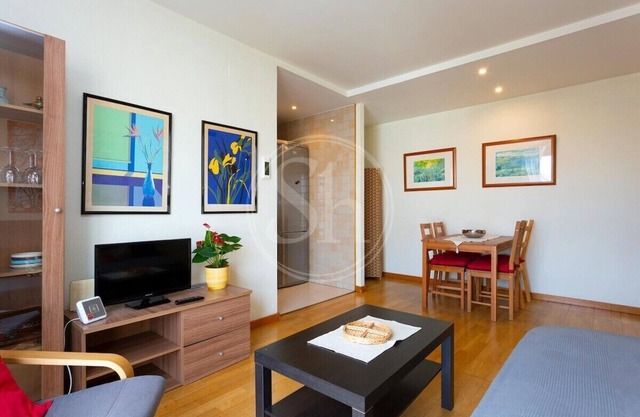 Great apartment near Sagrada Familia and Hospital Sant Pau