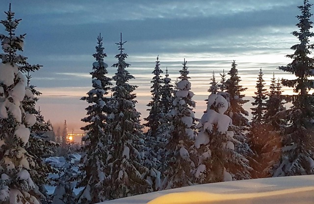 Great, comfortable vacation apartment right by the Sjusjøen ski center.