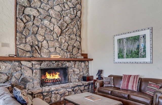 Great Views! Minutes to Snowmass Village! Large Fire Pit. Plenty of Space!