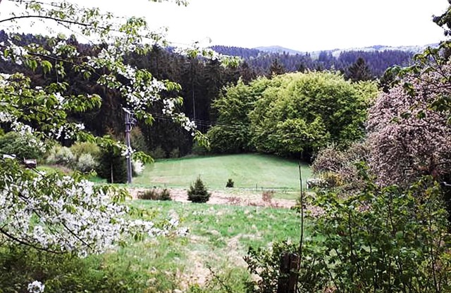 Green Corner Nürburg