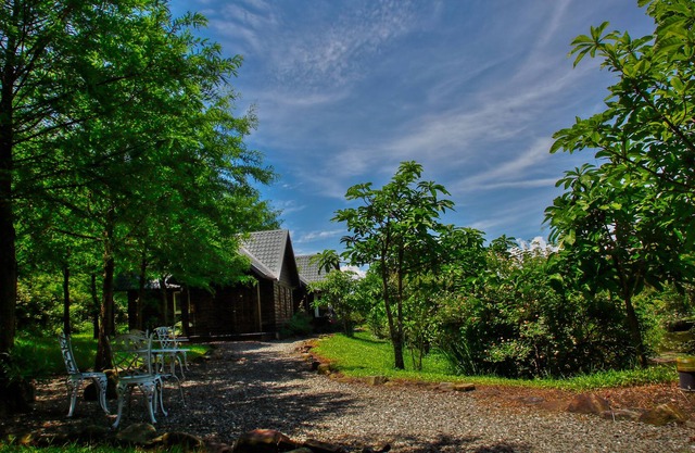 Green Forest Villa