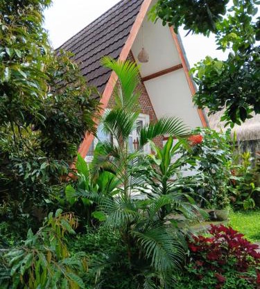Green Haven Homestay
