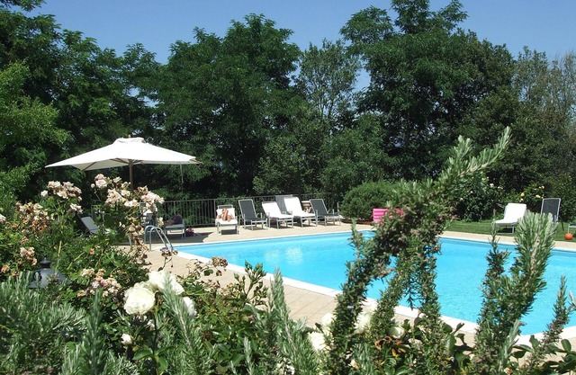 Green House near Civita di Bagnoregio - amazing panoramic view - Free Wi-fi