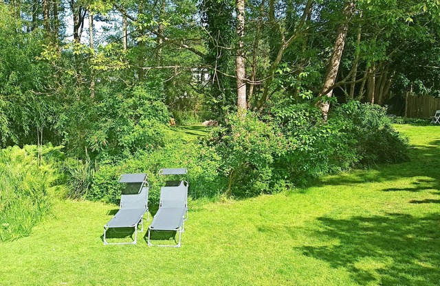 Green oasis