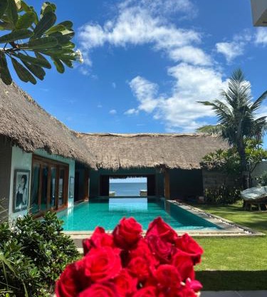 Green Organic Villas