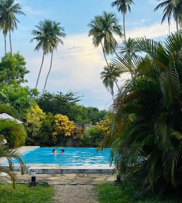 Green Parrot Beach Resort