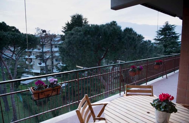 Green view apartment