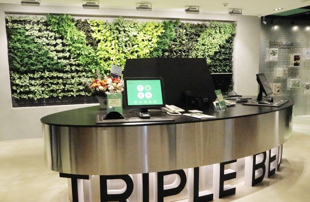 Green World Triplebeds Hotel