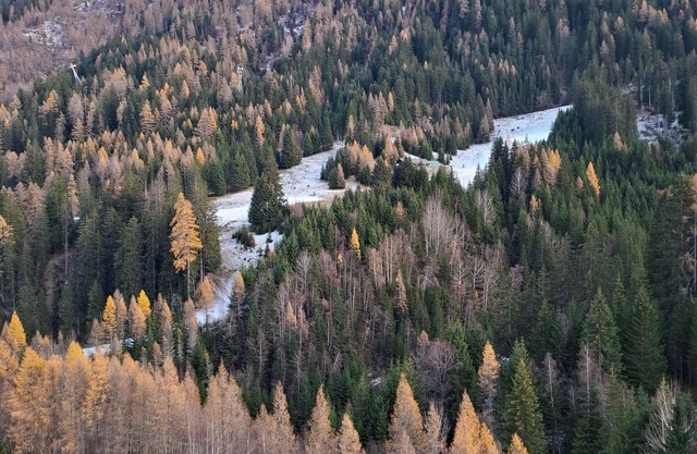GriaTali, Austria