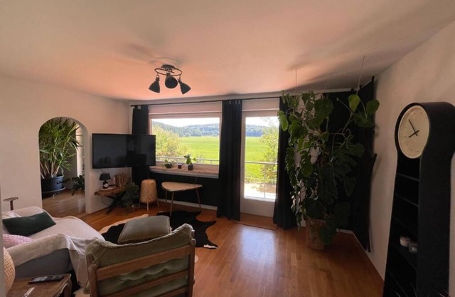Großes Apartment mit Balkon im Grünen zum wohlfühlen und entspannen