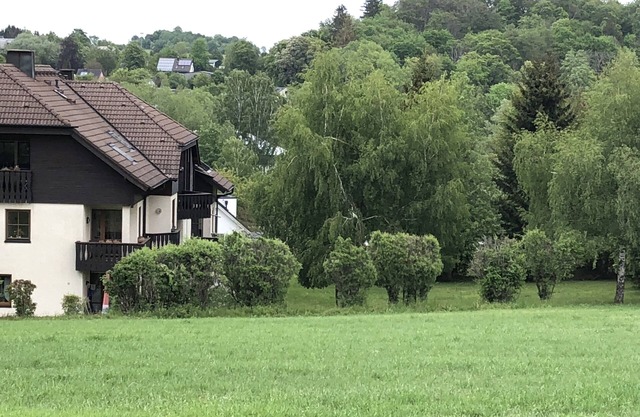 ground floor apartment (non-smoking) with terrace in the green Bad Steben