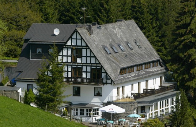 Gruppenvilla mit Waldzugang in Winterberg
