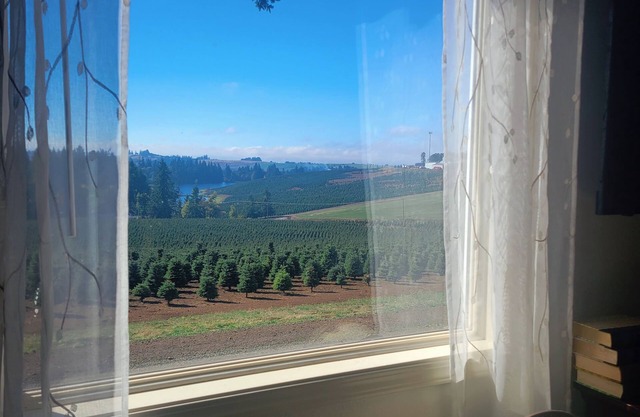 Guest House at Buena Vista Lavender Farm