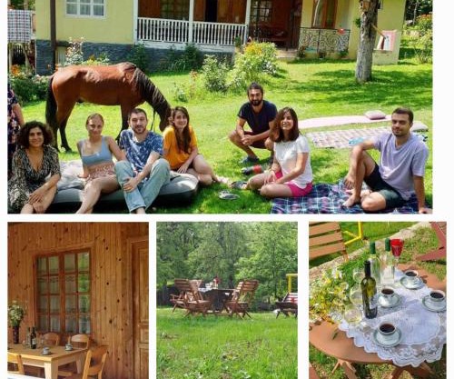 Guest house Lailashi