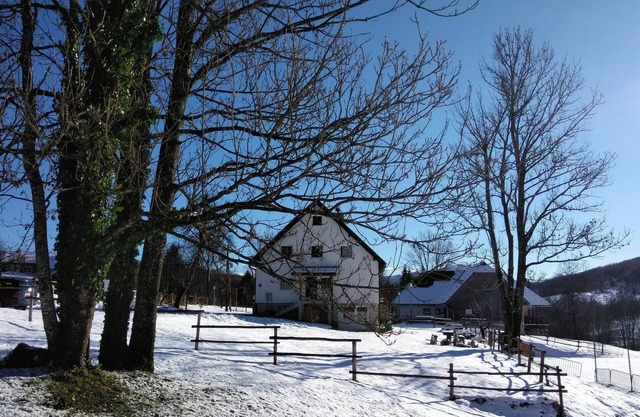 Guesthouse Bor