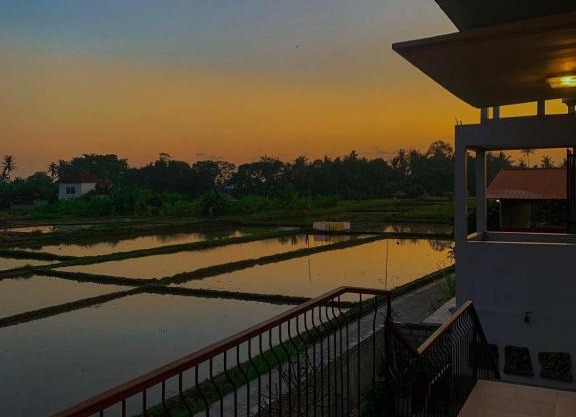 Guesthouse Gelombang