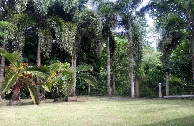 Guesthouse Surrounded By Trees
