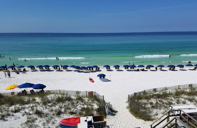 Gulf Front, Right on the Beach! Complimentary Beach Service! Newly Remodeled!
