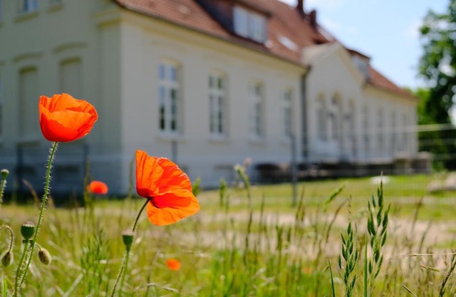 Gutshaus FeWo Priwall
