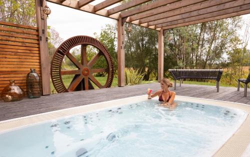 Hôtel-SPA Le Moulin De La Wantzenau - Strasbourg Nord