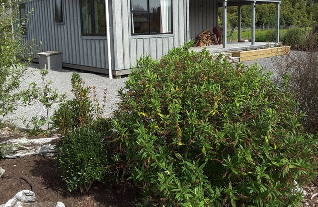 Haast Hideaway - Solar and Wind Powered Lodge