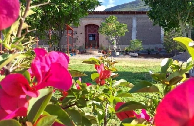 Hacienda Don Pedrillo