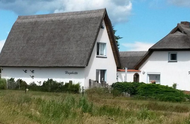 Hagebutte