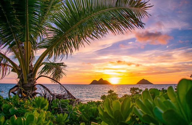 Hale Alapi'i Lanikai Getaway by Gather: Newly Renovated Near Beach & Hiking