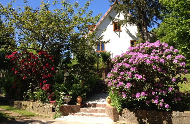 HALE ALOHA - Wood-burning stove paradise garden 7-person house. Nature park vacation with dog