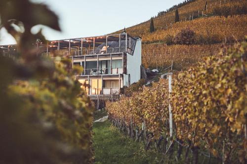 Haller Suites & Restaurant