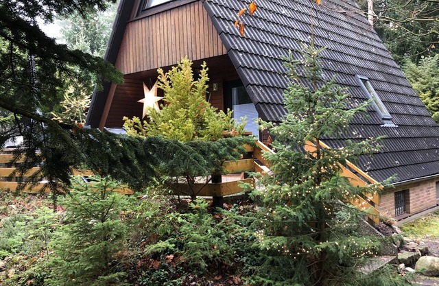 Hambühren Celle Fairytale forest house Drosselbart Roof-only house Sauna Forest edge Wallbox