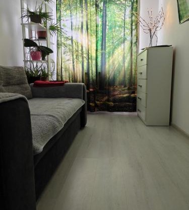 HANA Apartament